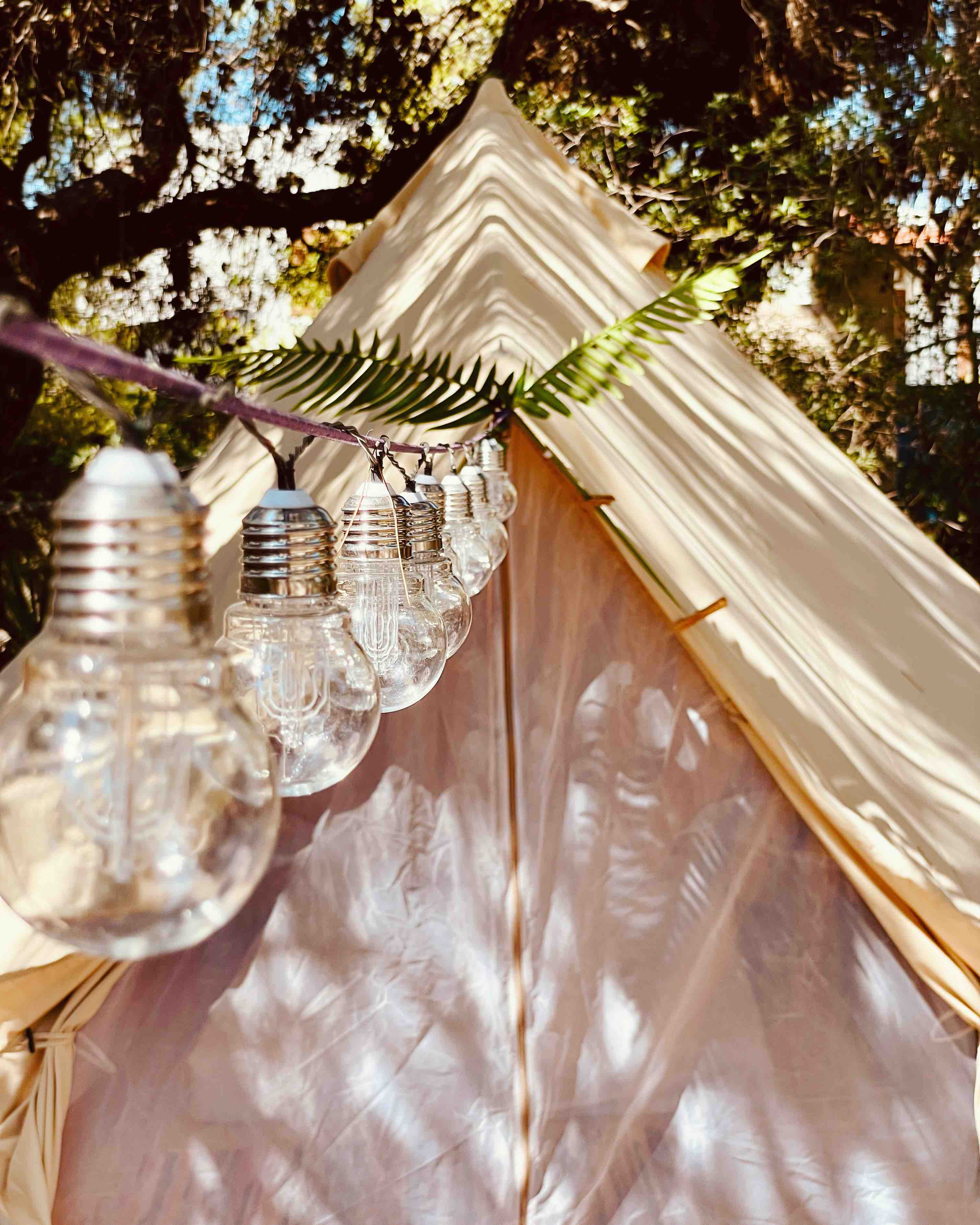 Camping Bacchus — photo 5