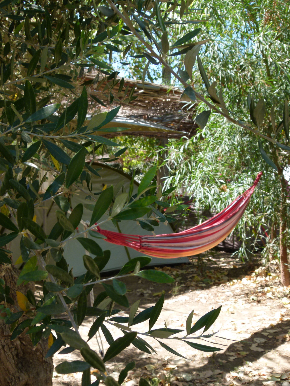 Camping Bacchus — photo 8